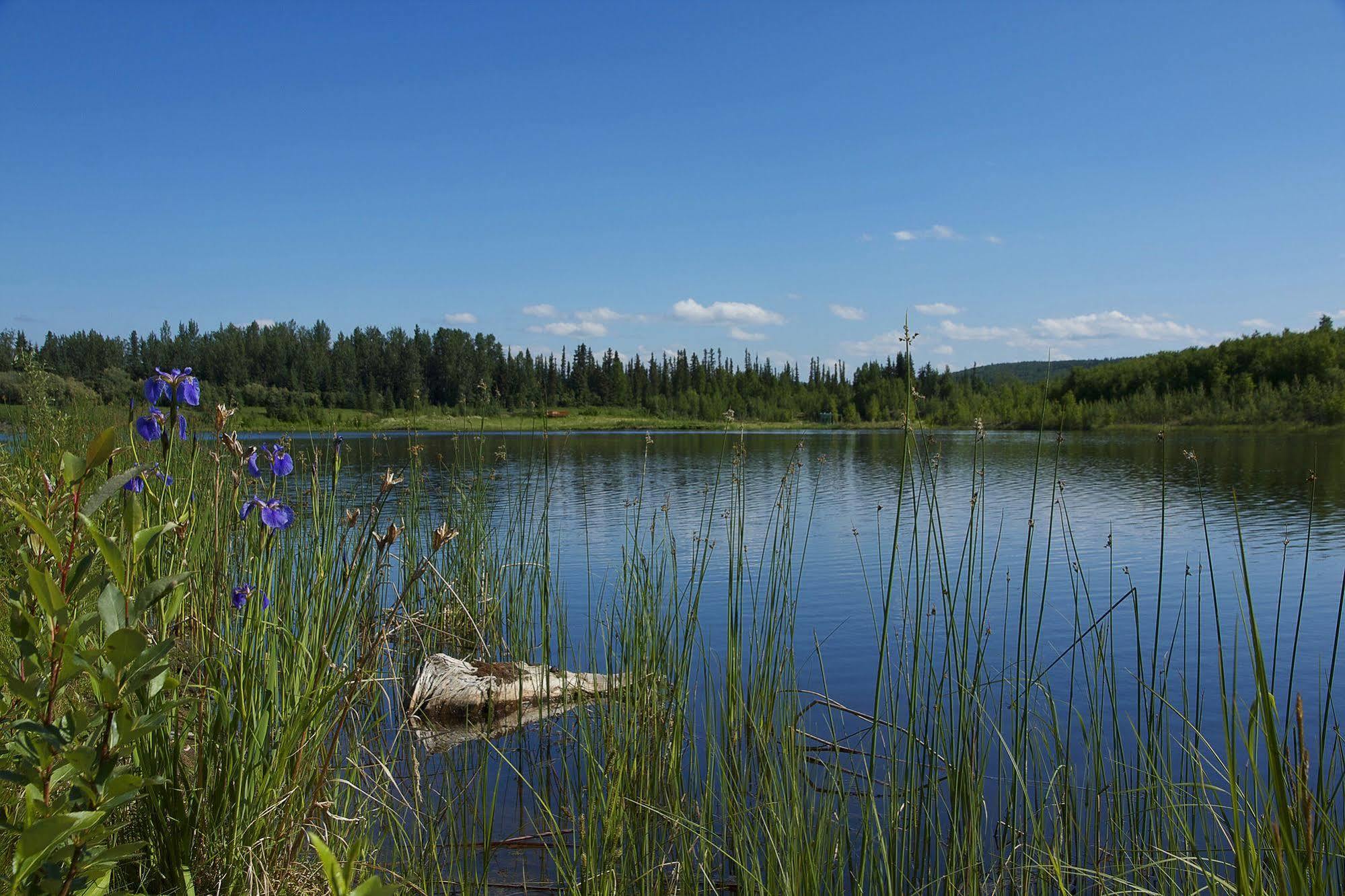 Wedgewood Resort Fairbanks Dış mekan fotoğraf